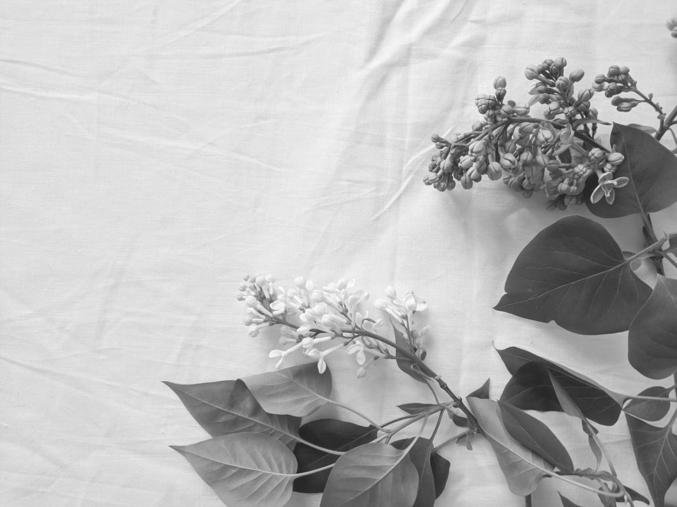 Vibrant seasonal flower arrangement displaying advanced composition techniques