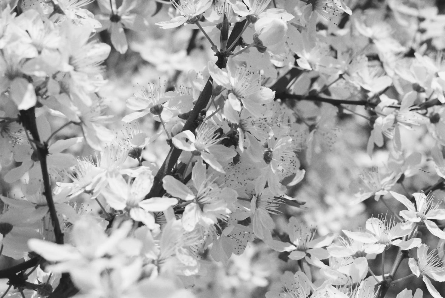 Beautiful floral arrangement showcasing advanced techniques taught in our masterclasses